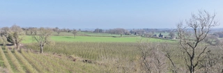 Tellin Meadow 007 Oakwrights Robin Mills header