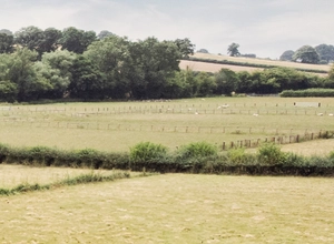 0280 bc Webbs Meadow Oakwrights Shooting Reels Feature