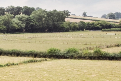 0280 bc Webbs Meadow Oakwrights Shooting Reels Feature