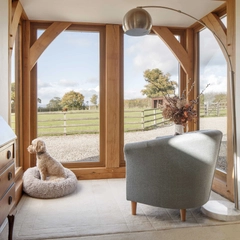 dog sitting near chair looking out of window