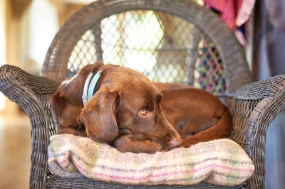 1537 6519 Oakwrights Photo Mark Welsh Gallery