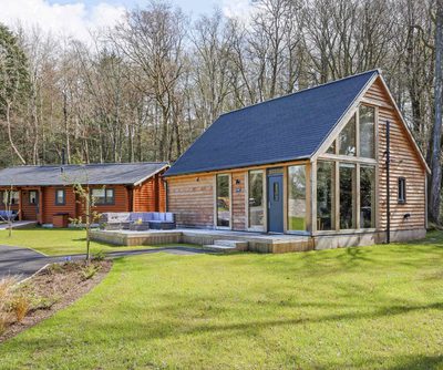 single-storey home in garden