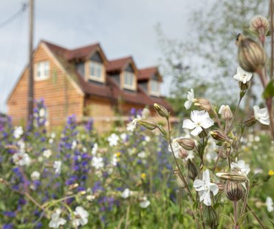 5031 0690 Oakwrights