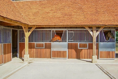 Ringrose Gryffyns Mares Copyright Hayley Ringrose b