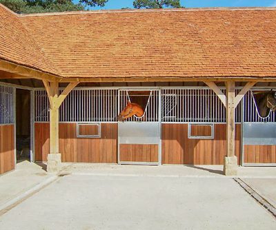 Ringrose Gryffyns Mares Copyright Hayley Ringrose b