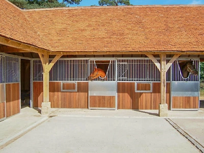 Ringrose Gryffyns Mares Copyright Hayley Ringrose b