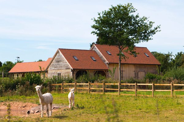 Stobbart DSC0404 gallery