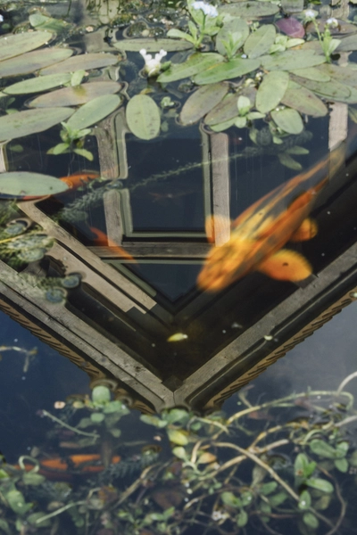 Show Home 15 1734 Oakwrights Anthony Thompson Gallery